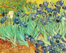 Haga click para ver la imagen ampliada 1889 irises.jpg